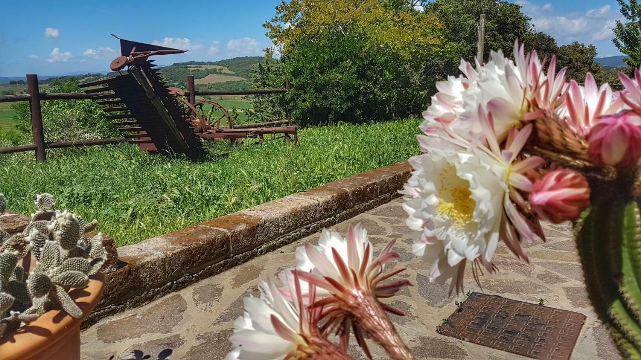 Sonnellino In Maremma Villa Massa Marittima Eksteriør billede