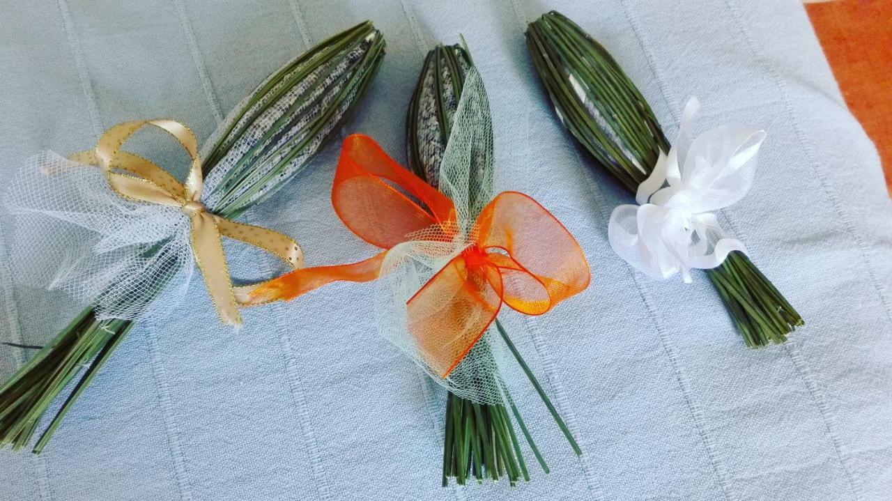Sonnellino In Maremma Villa Massa Marittima Eksteriør billede