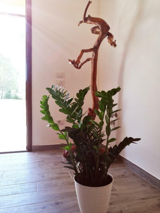 Sonnellino In Maremma Villa Massa Marittima Eksteriør billede
